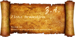 Zintz Armandina névjegykártya